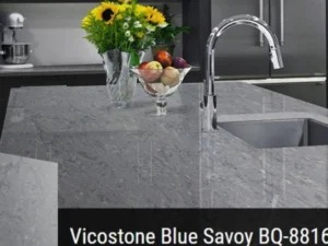 blue savoy bq8816 4