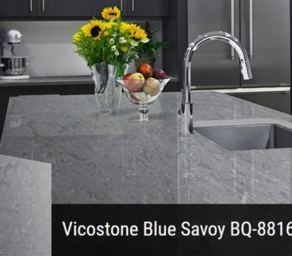 blue savoy bq8816 4